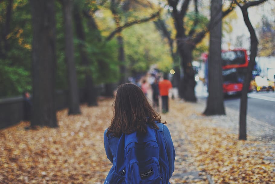 backpack, child walking, outdoors, young, school children, tree HD wallpaper