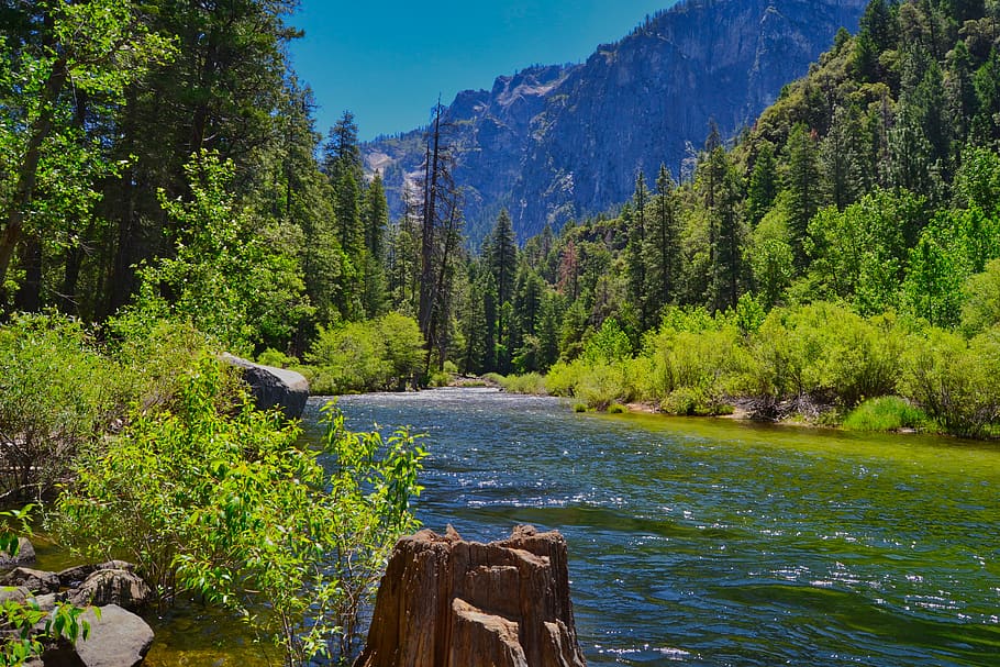 nature, landscape, bach, bank, yosemite, water, usa, reflections HD wallpaper