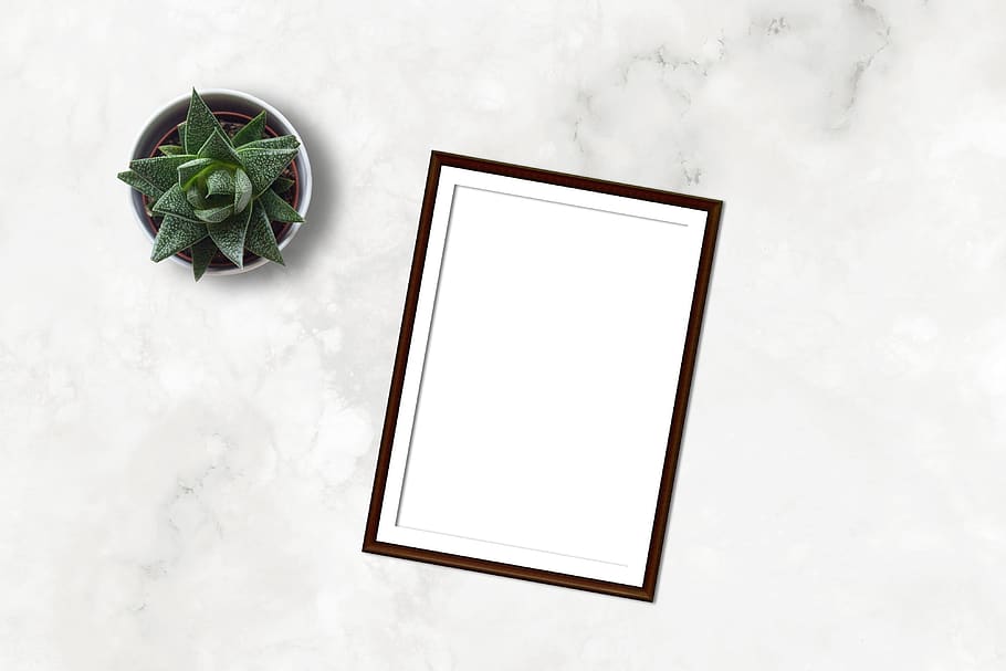 marble, frame, mockup, flatlay, plant, ecommerce, blank, paper HD wallpaper