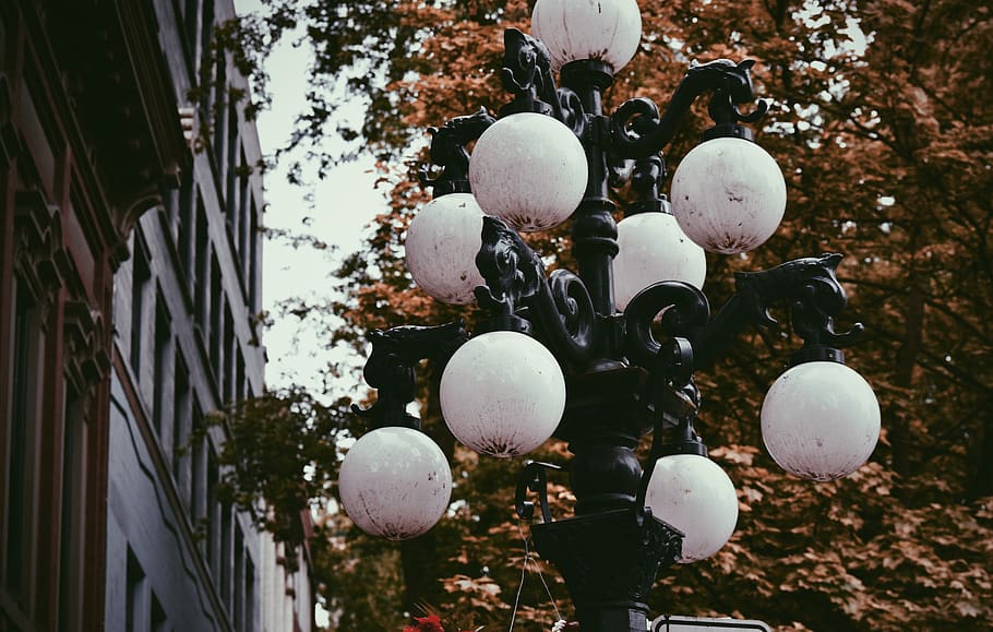 lights, lamps, white, pole, trees, leaves, autumn, no people HD wallpaper