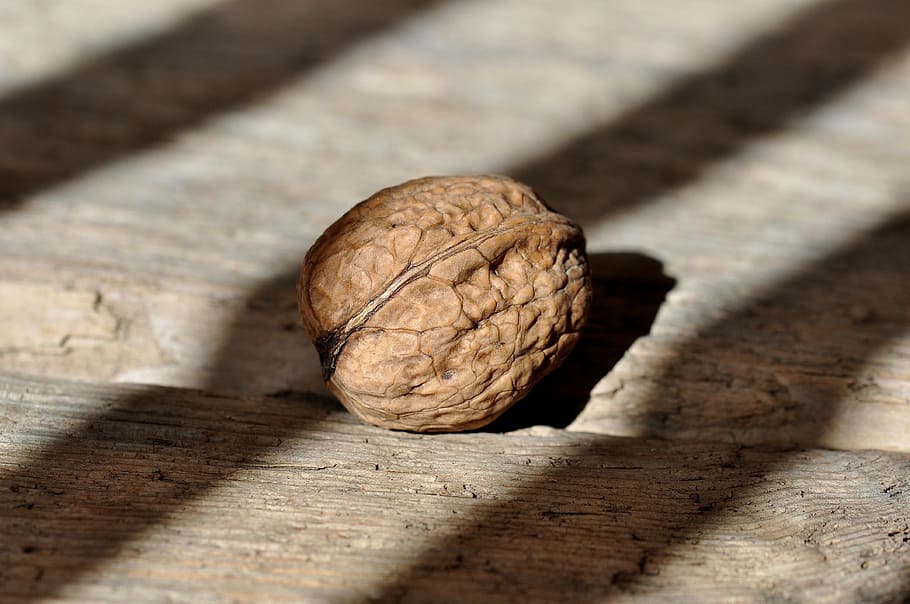 walnut, nuts, dry, fruit, food, health, healthy, healthy eating HD wallpaper