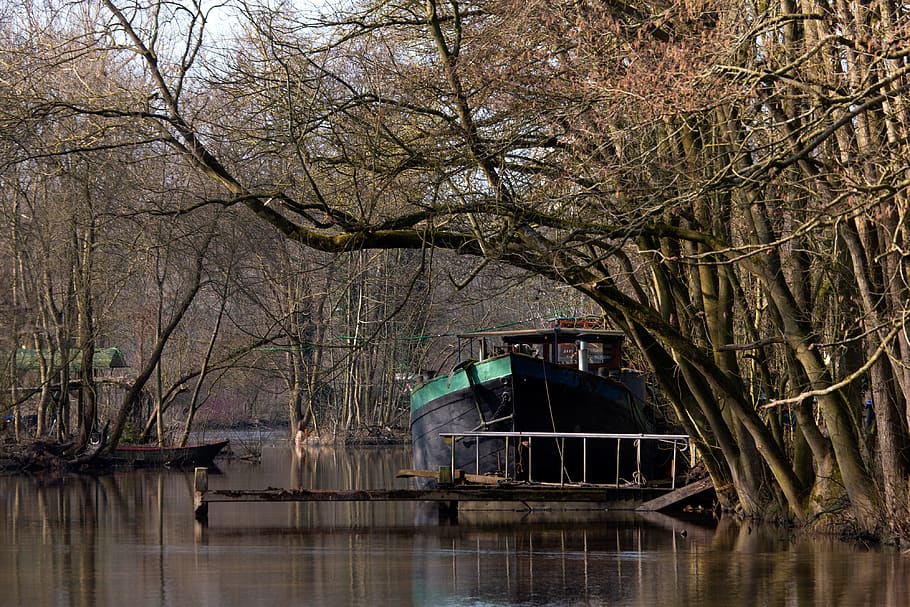 netherlands, ship, hidden, tree, water, built structure, waterfront HD wallpaper