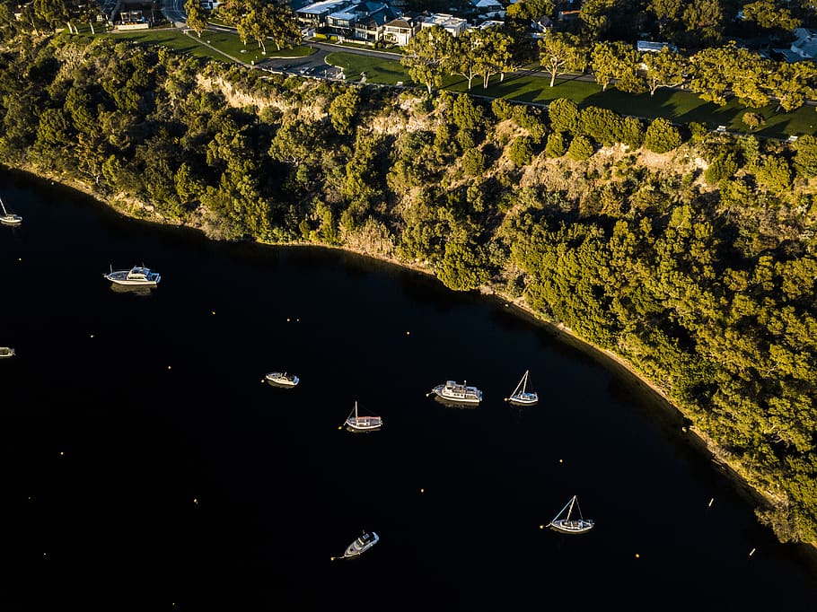 boats on body of water near trees and buildings miniature, australia