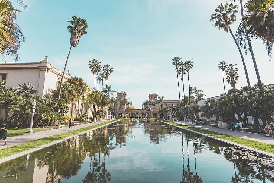 palm tree lined canal, water, reflection, architecture, plant HD wallpaper