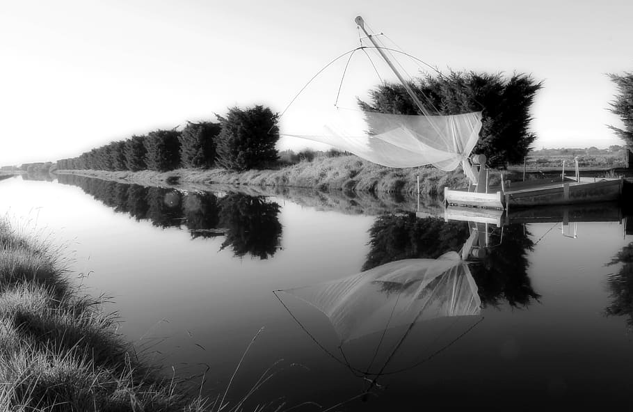 water, reflection, lake, plant, tranquility, sky, tranquil scene HD wallpaper
