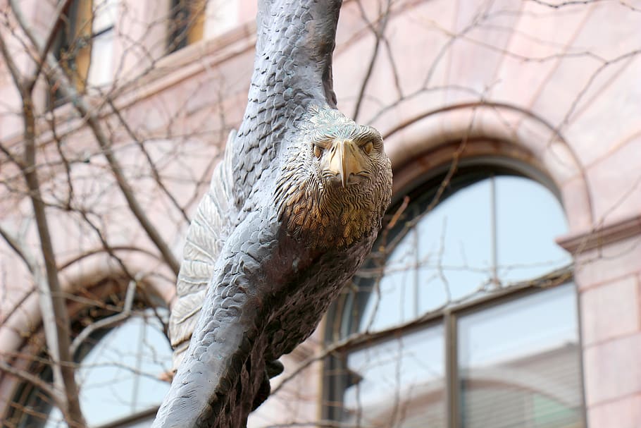 sioux falls, united states, bronze statue, eagle, focus on foreground