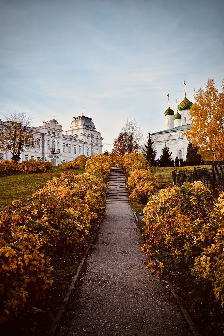 russia, cheboksary, architecture, built structure, plant, building exterior HD wallpaper