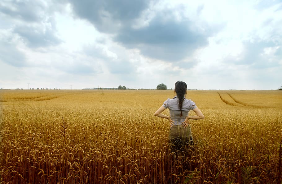 Back fields. Человек вспахивает поле. Люди в поле вид сверху. Девушка в белье на пшеничном поле обои. Цвета для съемки в поле пшеницы.