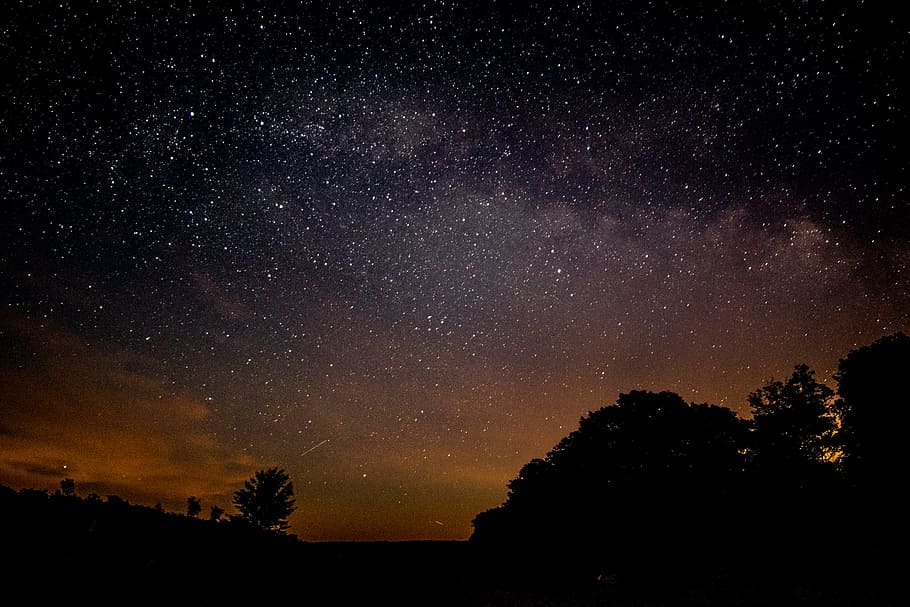 silhouette of trees under stars, sky, galaxy, astrophotography HD wallpaper