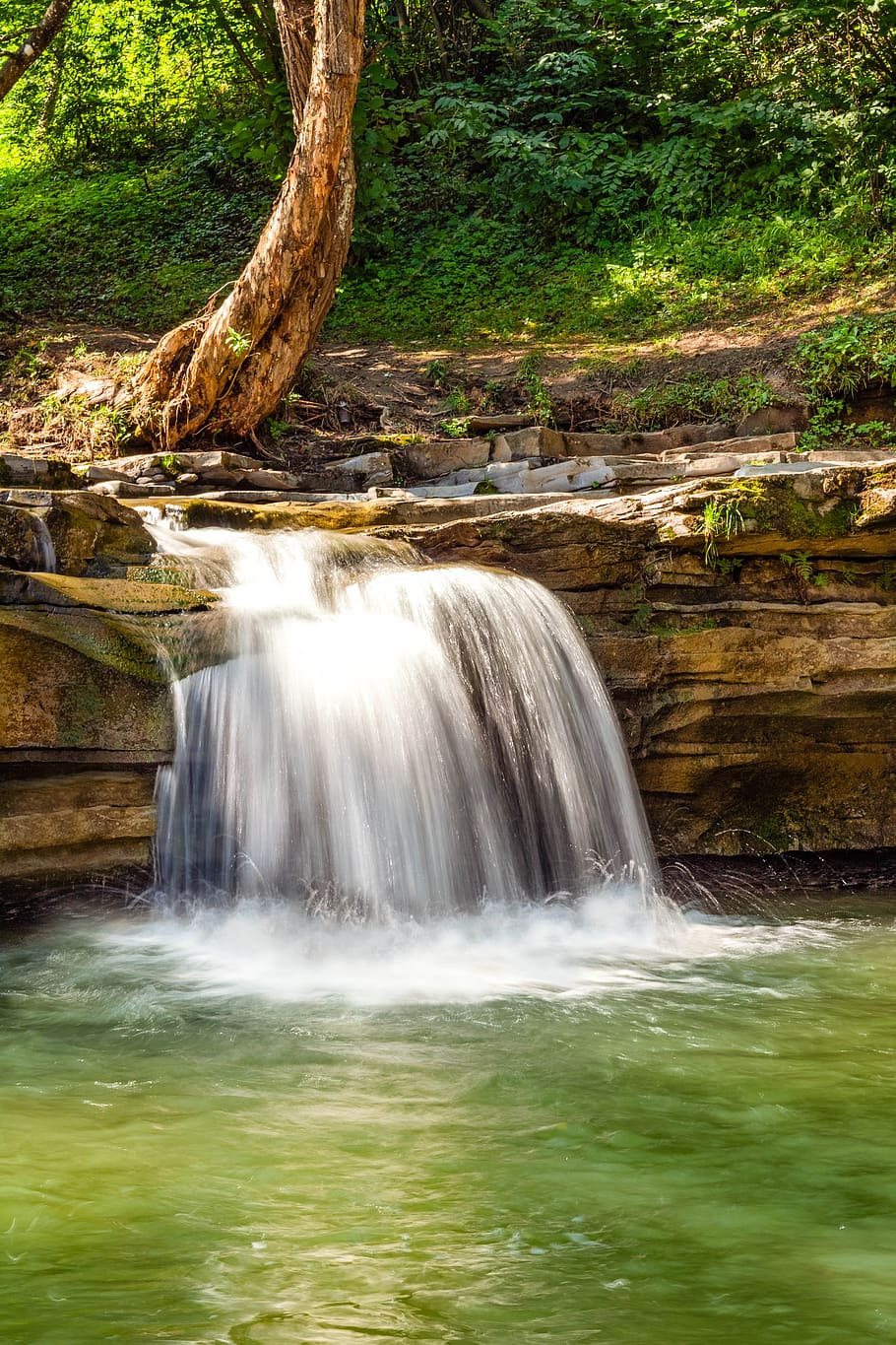 waterfall, river, cascade, nature, green, rocks, forest, stone HD wallpaper