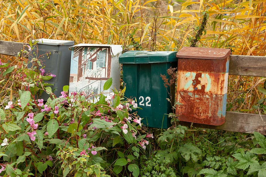 mailboxes, rust, nature, plant, growth, green color, day, no people HD wallpaper