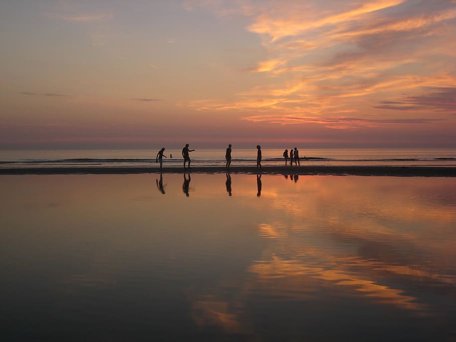 netherlands, texel, sea, sunset, people, beach, sky, water HD wallpaper