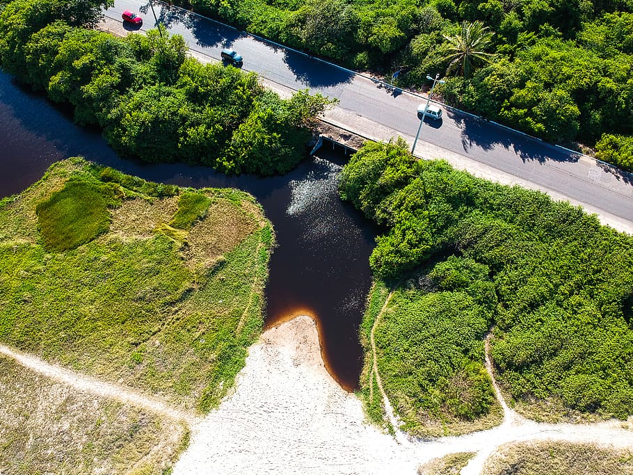brazil, cabedelo, intermares, black, black water, tree, trees HD wallpaper