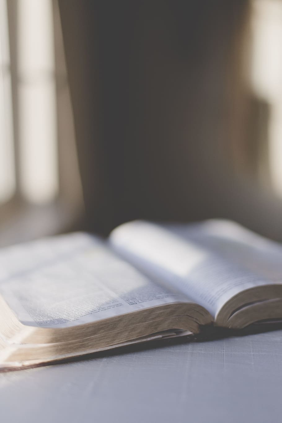 white book, god, word, reading, bible, christian, holy, page HD wallpaper