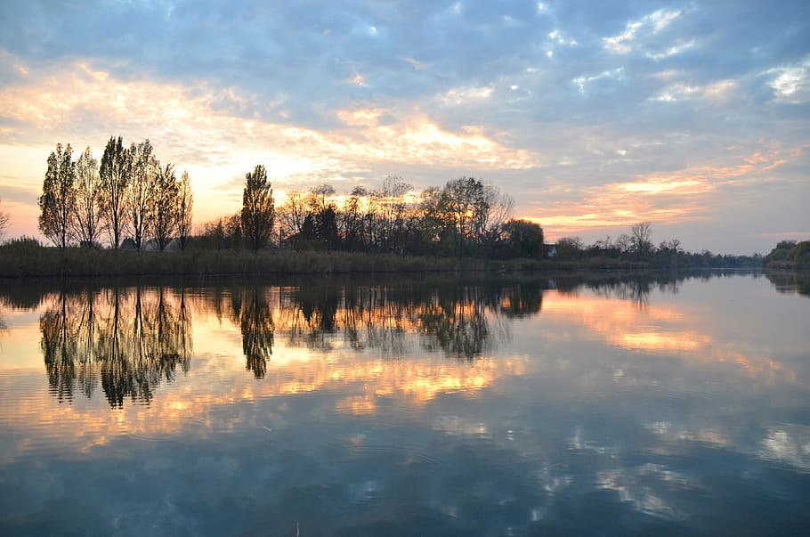 reflection, lake, light, smoke, sunset, tisza, wood, nightfall