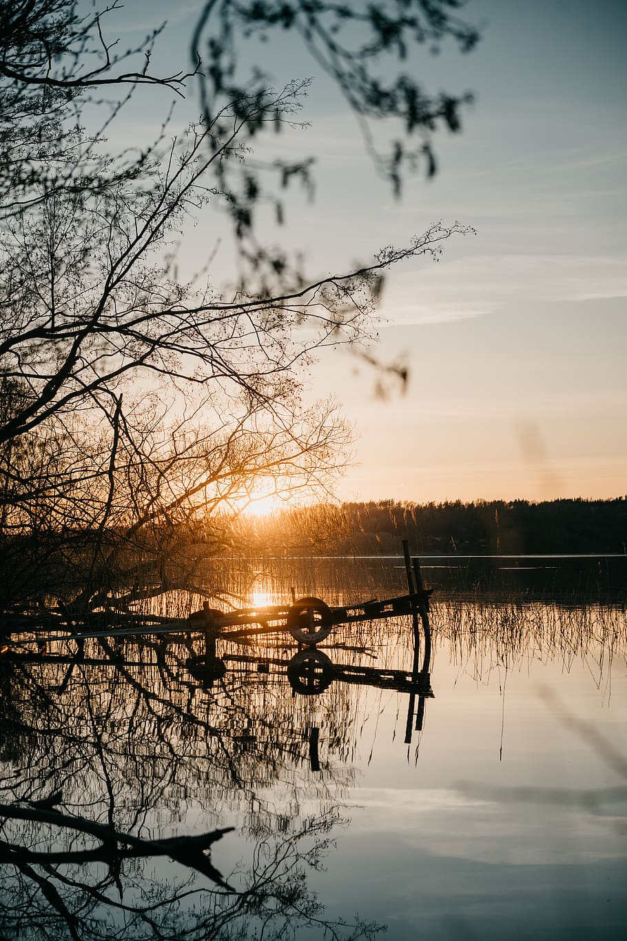 sun rise over the trees, nature, water, outdoors, waterfront HD wallpaper