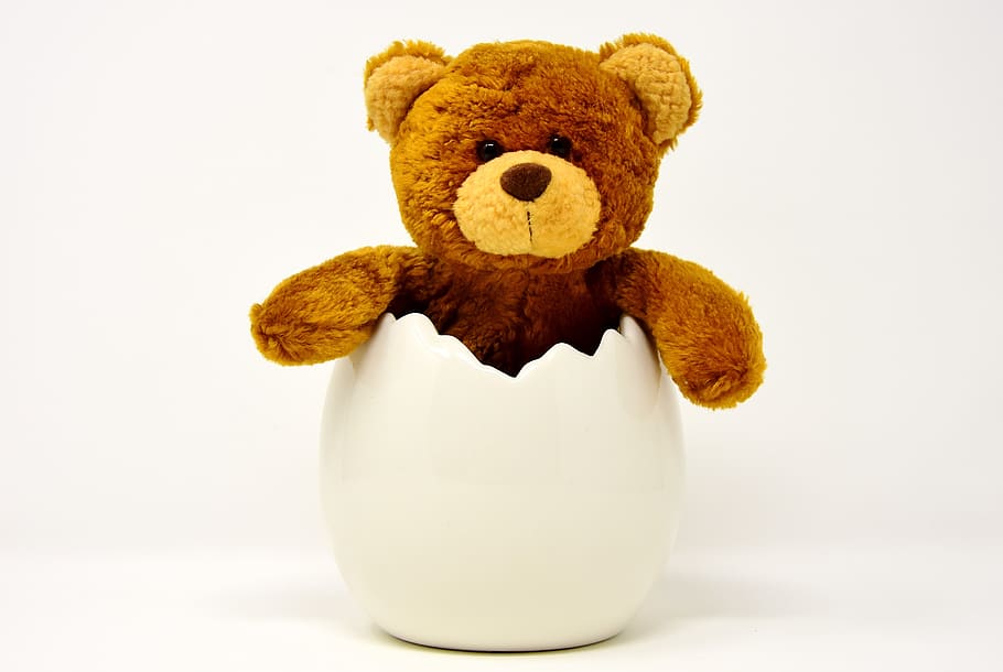 easter egg, ceramic, eggshell, teddy, funny, cute, soft toy HD wallpaper