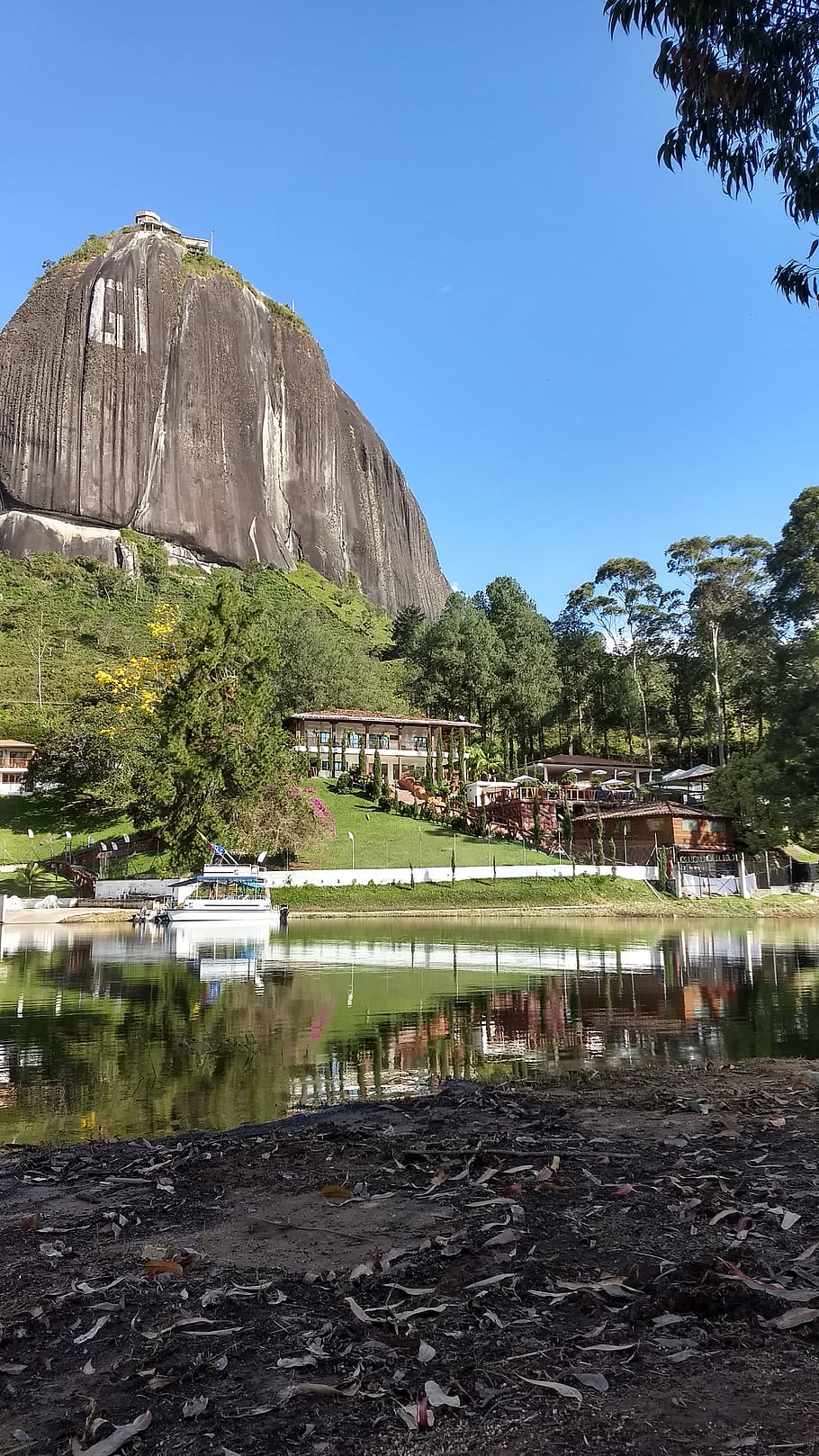 guatapé, orilla, ojo, de, agua, water, plant, nature, tree HD wallpaper