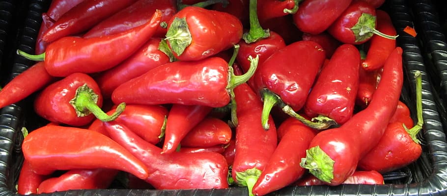 red, chili, pepper, nature, spice, spicy, food, food and drink HD wallpaper