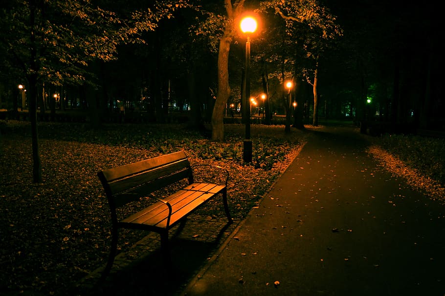 night, park, bench, lantern, dark, quiet, illuminated, street light