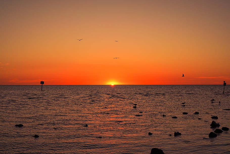 sun set view, nature, outdoors, sky, dusk, dawn, red sky, bird HD wallpaper