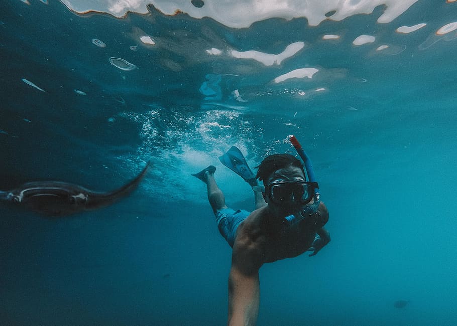 man diving underwater, sea, adventure, aquatic sport, swimming HD wallpaper