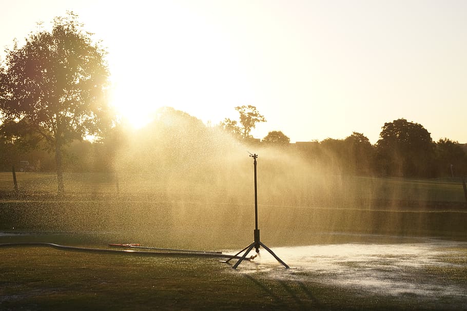 sprinklers, golf course, grass, water, trees, sunset, plant HD wallpaper