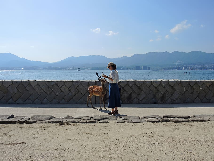 Hd Wallpaper Japan Miyajima Island Deer Japanese Girl Sea Real