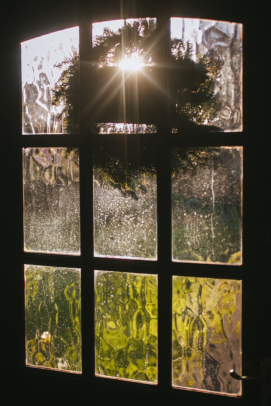 closed clear glass window, no people, transparent, indoors, plant HD wallpaper