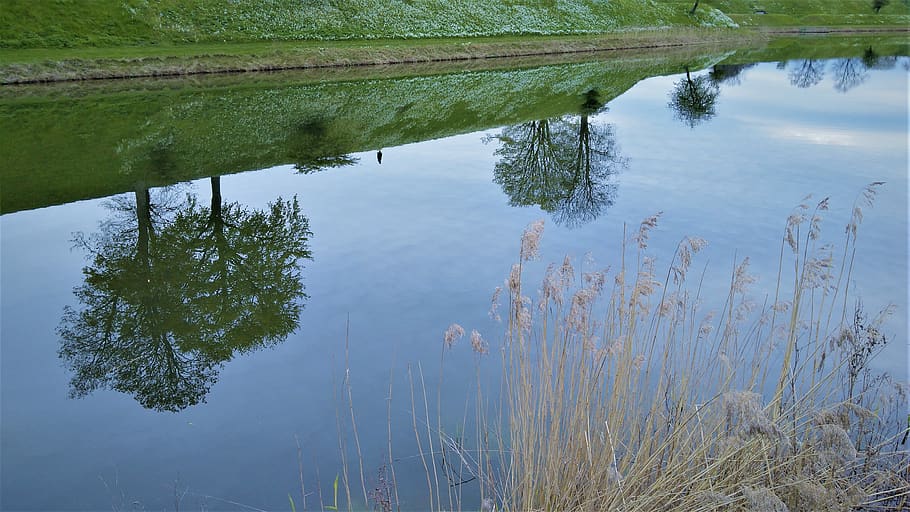 denmark, hamlet, trees, reflection, lake, water, plant, tranquility HD wallpaper