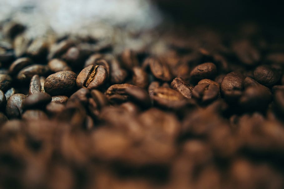 brown coffee seeds, food and drink, selective focus, coffee - drink HD wallpaper