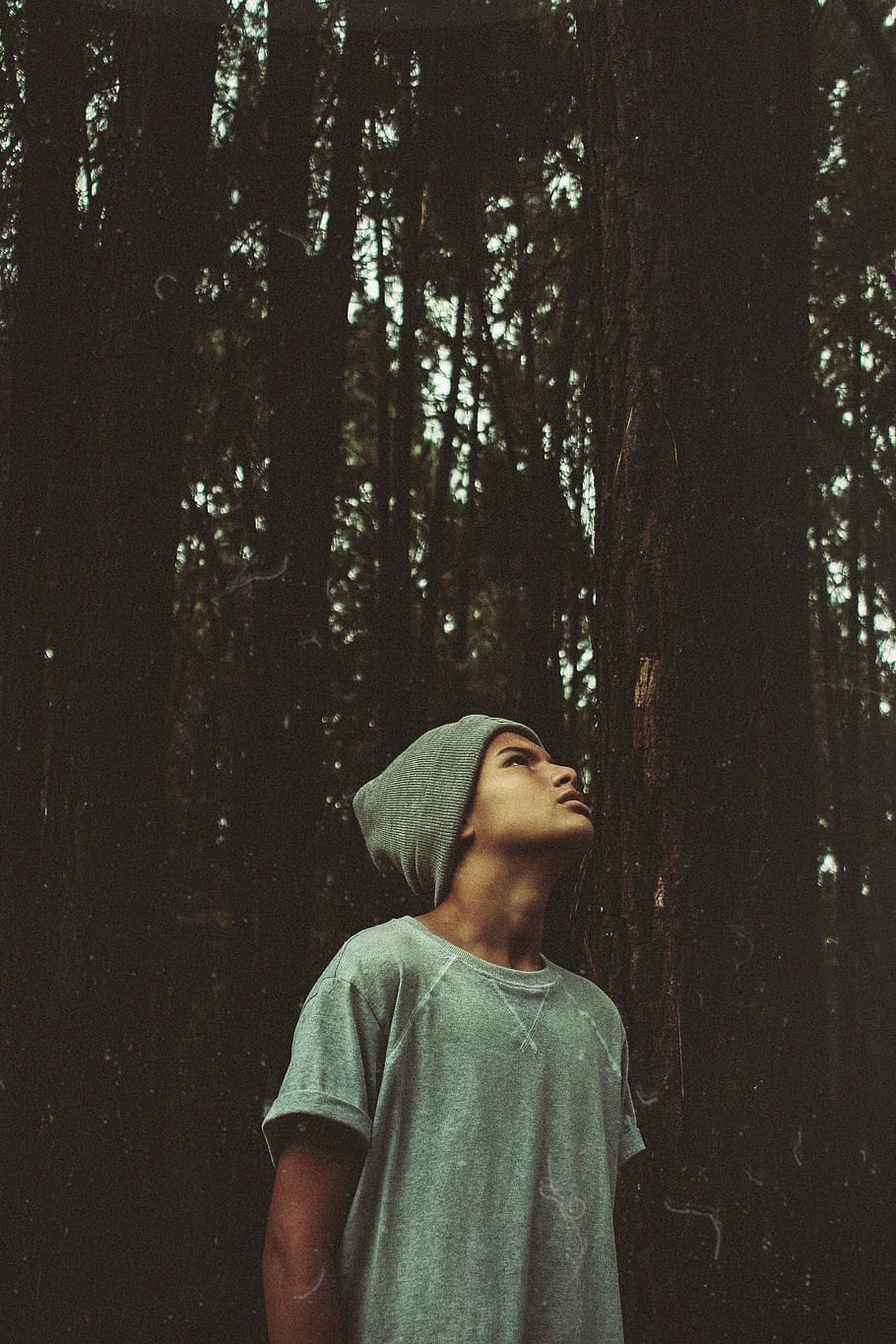 winter, summer, explore, photo, life, tree, forest, plant, one person HD wallpaper