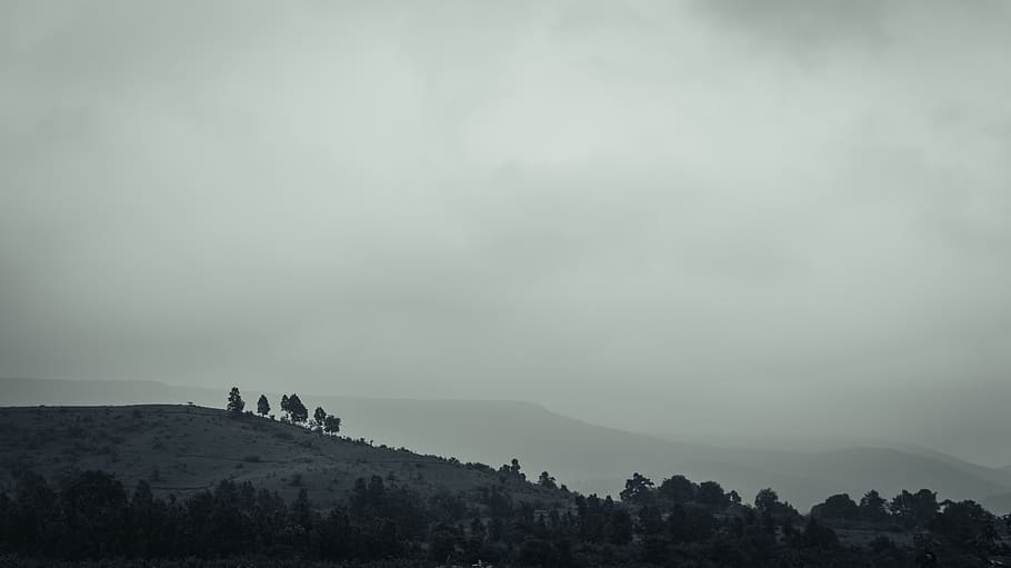 india, odisha, sky, mountain, beauty in nature, tree, tranquil scene HD wallpaper