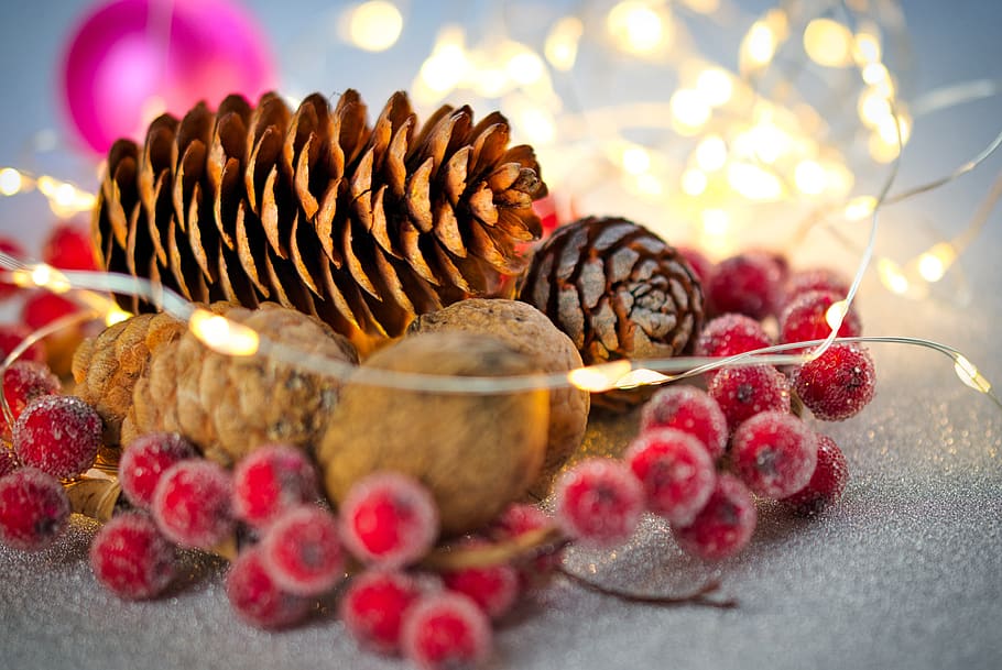 christmas bauble, pine cones, walnut, ball, christmas card HD wallpaper