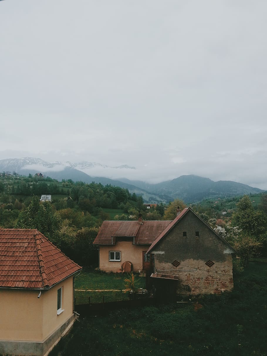 romania, bran, clouds, high, nature, green, mountain, tree HD wallpaper