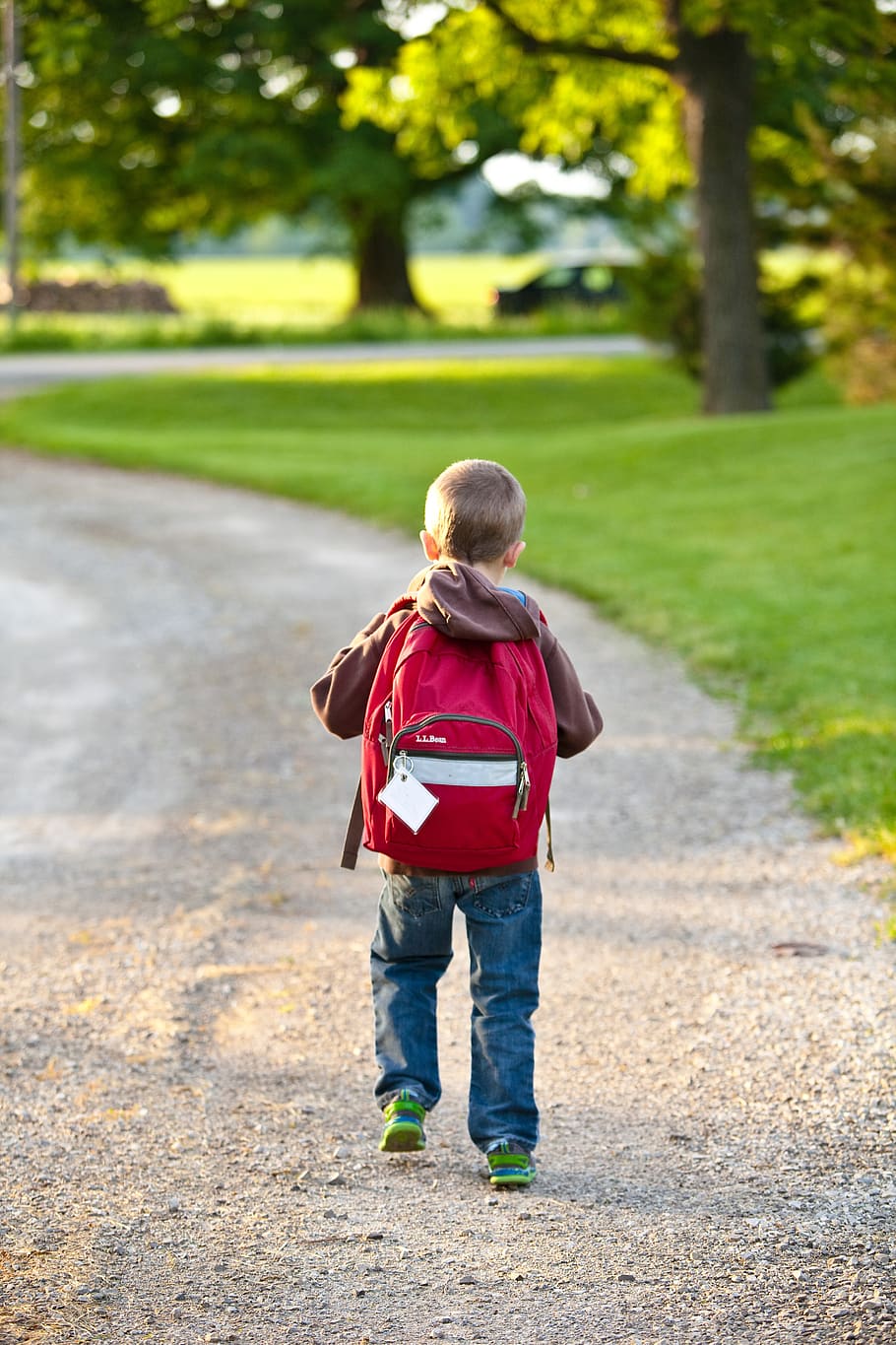 Boy in Brown Hoodie Carrying Red Backpack While Walking on Dirt Road Near Tall Trees HD wallpaper