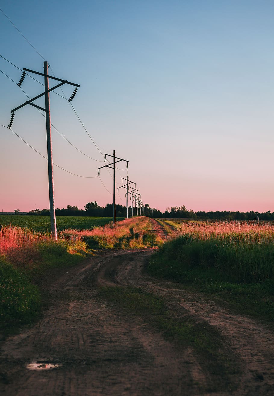 canada, lachute, sunset, grass, electricity pole, field, flowers HD wallpaper