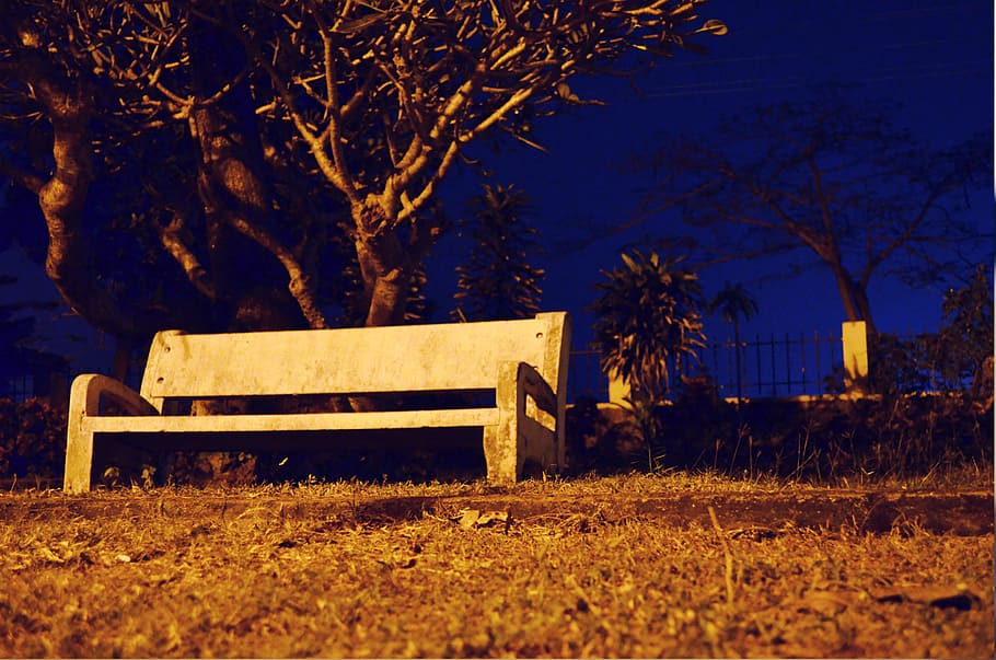Bench, green, leisure, nature, tree, plant, night, seat, no people HD wallpaper
