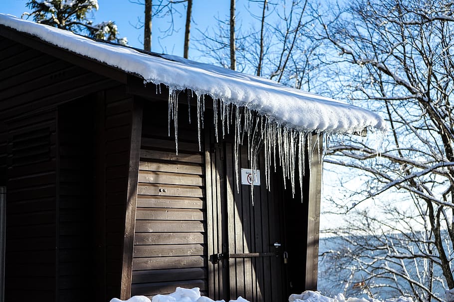 winter, snow, icicle, hut, mountain, forest, tree, cold temperature HD wallpaper