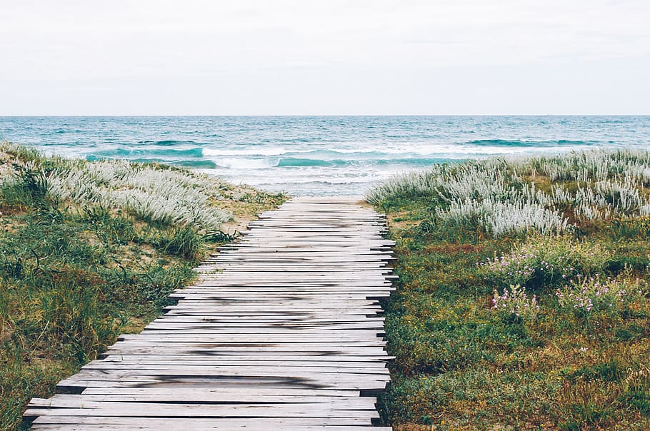 beach, sea, coast, path, sand, rock, ocean, horizon, shore HD wallpaper