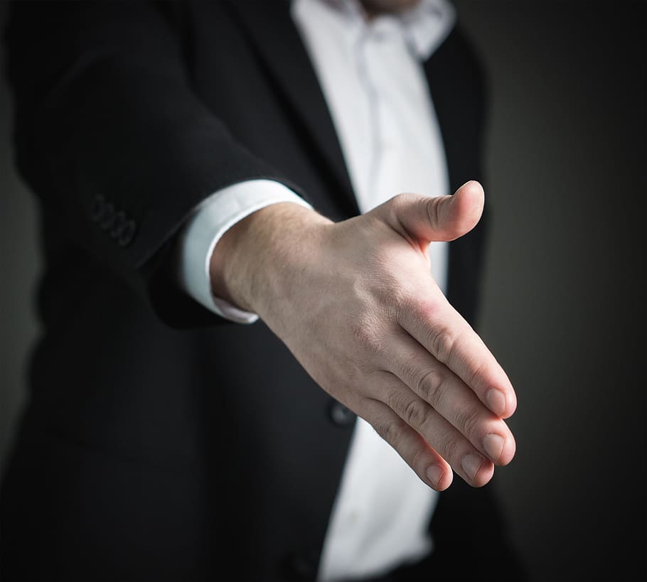 shake, handshake, human, activity, office, meet, human hand HD wallpaper