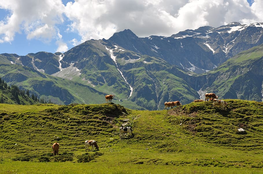 landscape, mountains, panorama, scenics - nature, beauty in nature HD wallpaper