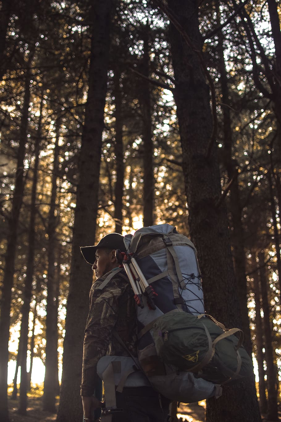 Adventure forest. Парень в лесу. Лес в рюкзаке. Рюкзак адвентуре. Мужчина в лесу с рюкзаком для сторис.