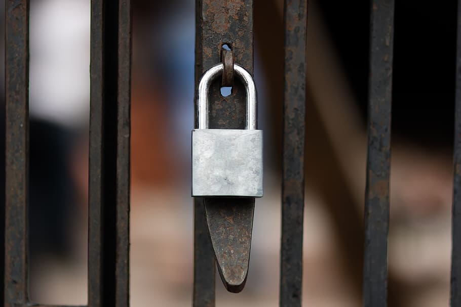 fence, lock, gate, metal, safety, security, door, protection HD wallpaper