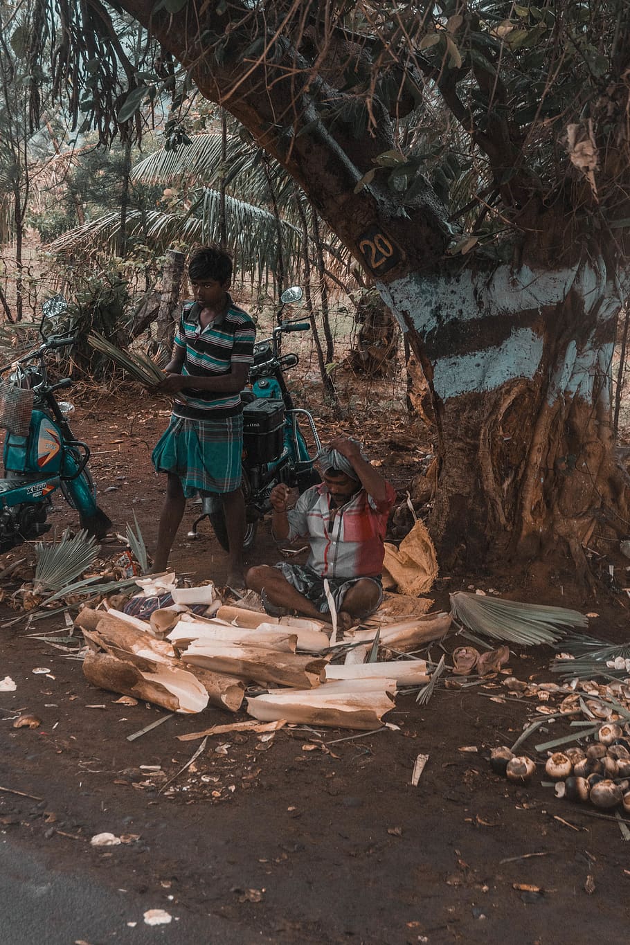 two men cutting woods, south india, kutrallam, courtallam, rainfall HD wallpaper