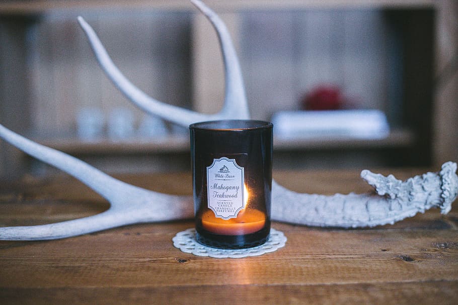 scented candle near deer horn, antler, rustic, wooden table, bokeh HD wallpaper
