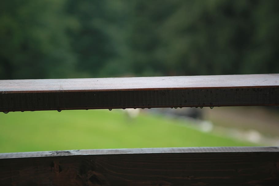raindrops, forest, focus on foreground, no people, wood - material HD wallpaper