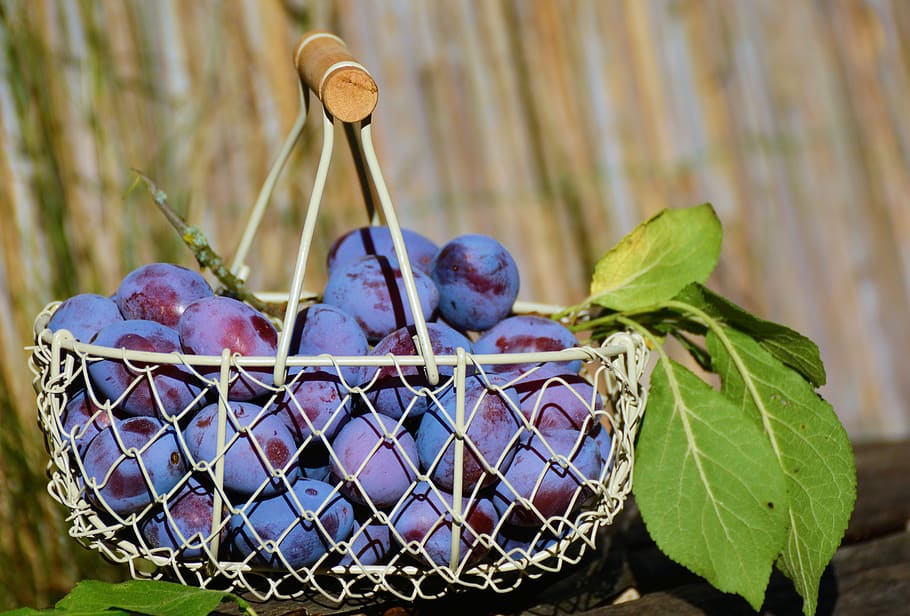 Purple Grape Fruits in White Steel Basket, berries, blueberries HD wallpaper
