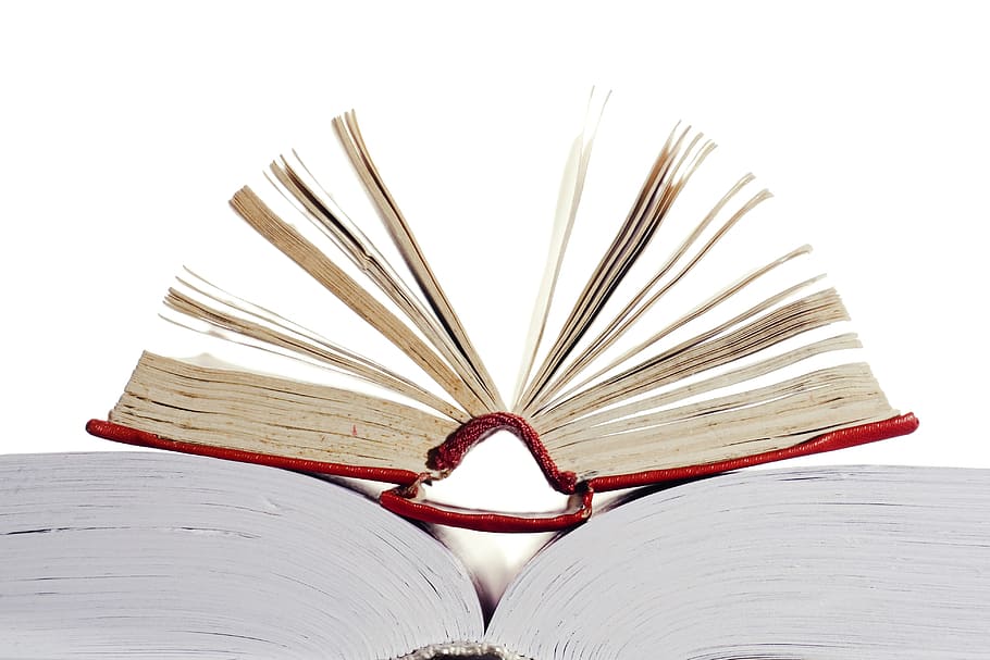 small, white, book, white background, studio shot, close-up HD wallpaper