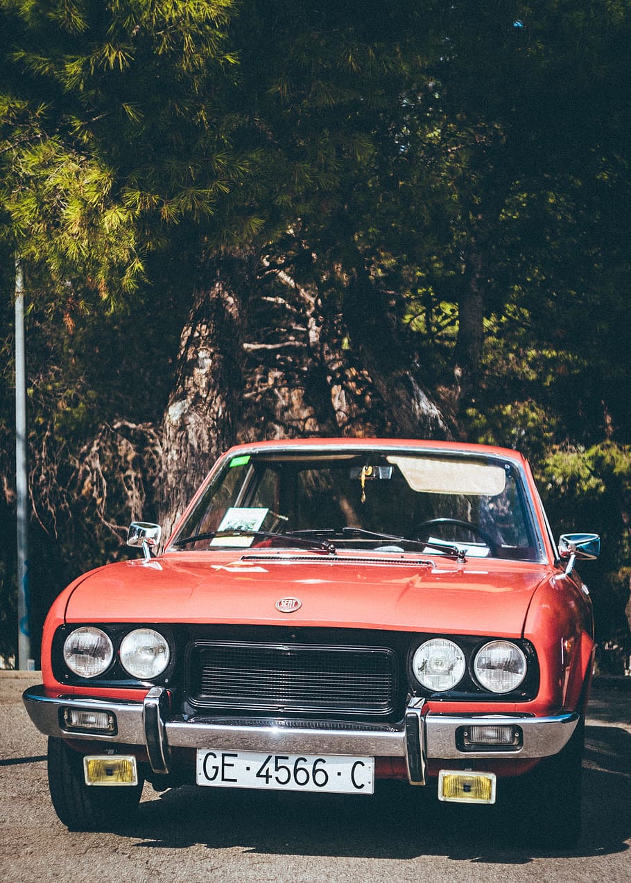 Classic Red Car Parked Near Green Leaf Tree, asphalt, auto, automobile HD wallpaper
